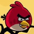   Angry Birds Typing  