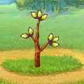 Денежное дерево играть онлайн