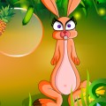 Магазин Кролик / Rabbit Shop играть онлайн