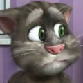 Говорящий кот Том Talking Tom Cat 2 играть онлайн