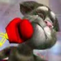 Играть бесплатно Говорящий кот Том Talking Tom Cat 3 без регистрации